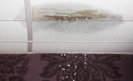 Plumber Laverton